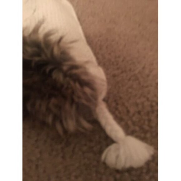 Gap Kids Faux Fur Lined Aviator Trapper Hat Size M/L for Ages 2-5yrs - Picture 2 of 8